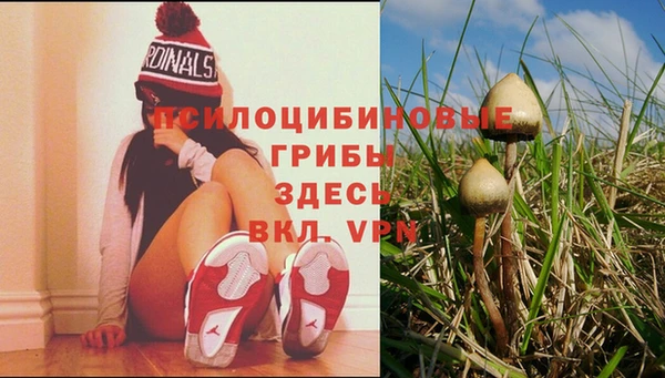MDMA Пролетарск