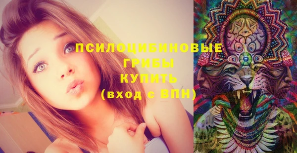 твердый Приозерск