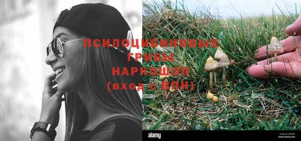 твердый Приозерск