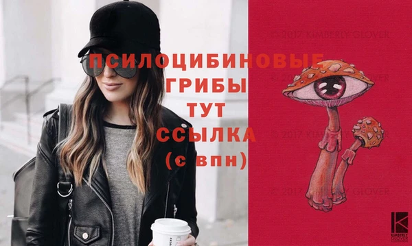 MDMA Пролетарск