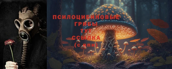 mdma Протвино